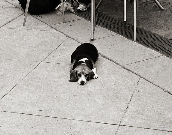 "People, Street Scenes, Pondered Artifacts"
