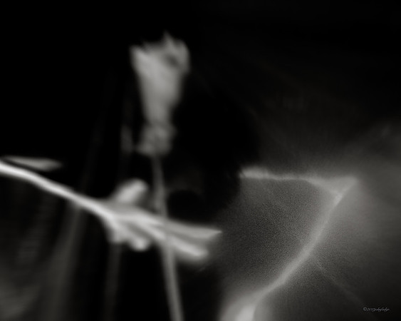 Unsweetened Dreams