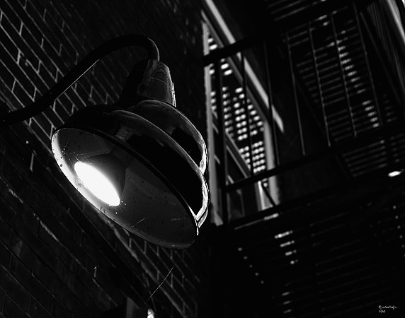 Lamp & Webs