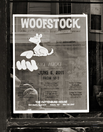 "People, Street Scenes, Pondered Artifacts"