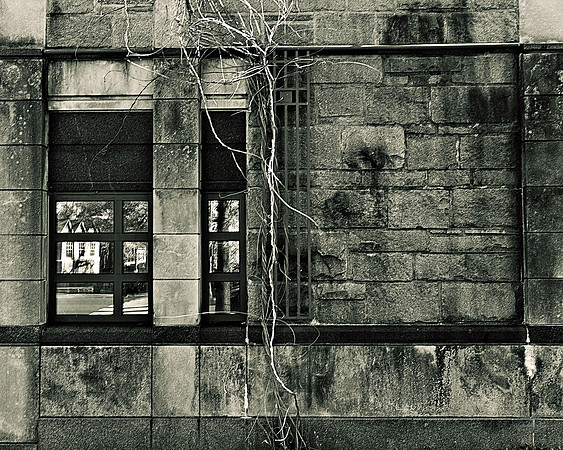 Wall