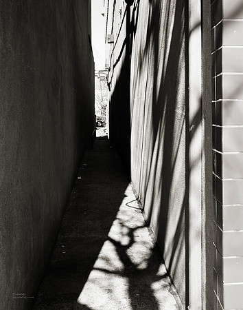 "People, Street Scenes, Pondered Artifacts"
