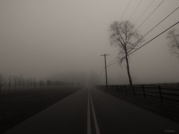 Misty Morning Walk