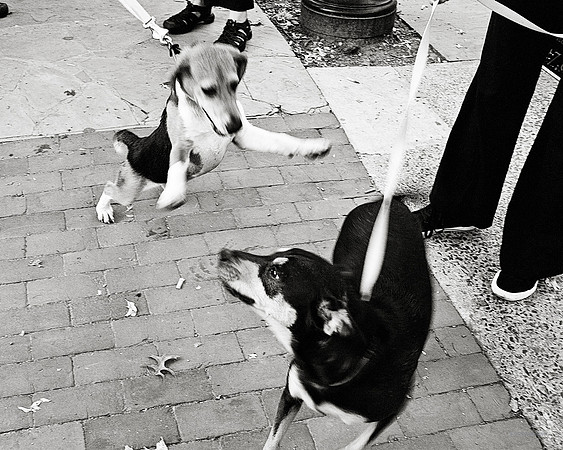 "People, Street Scenes, Pondered Artifacts"