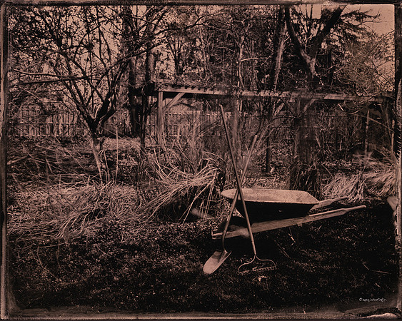 wet plate collodion, landscapes, trees, exterior spaces, exterior structures