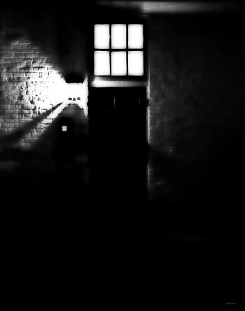 Into The Light