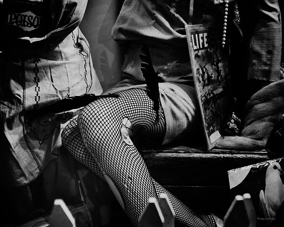 Tattered Life