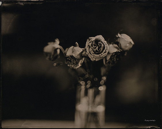 Roses From Anna