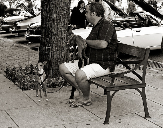 "People, Street Scenes, Pondered Artifacts"