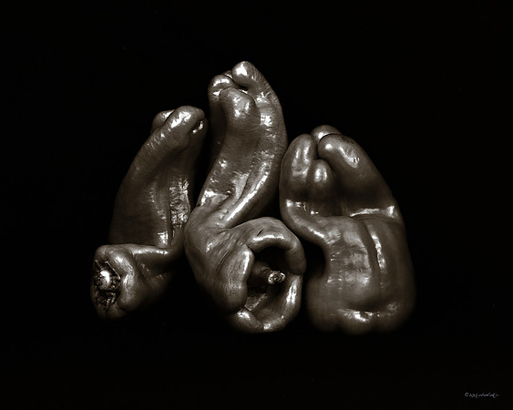 still life, organic matter, vegetables, of the earth series
