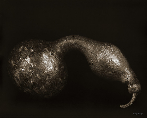 still life, organic matter, vegetables, of the earth series