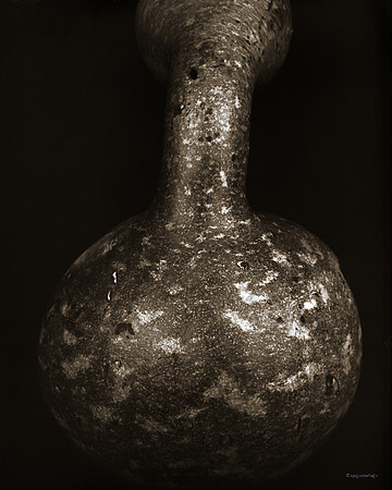 still life, organic matter, vegetables, of the earth series