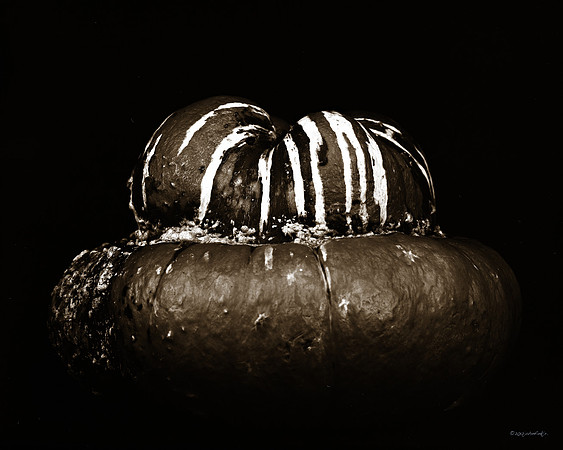 still life, organic matter, vegetables, of the earth series