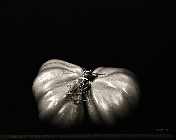 still life, organic matter, vegetables, of the earth series