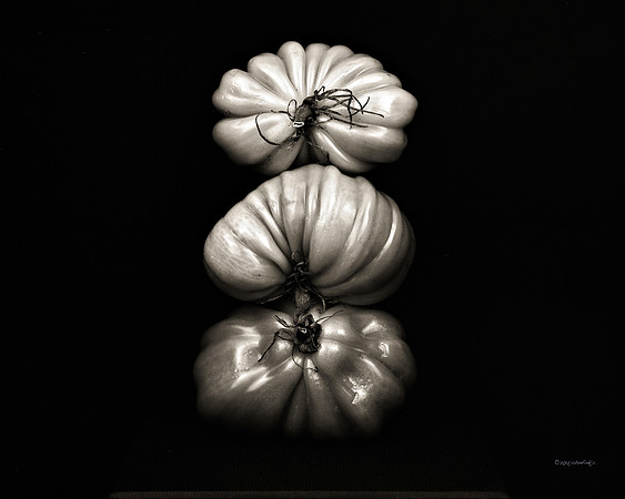 still life, organic matter, vegetables, of the earth series