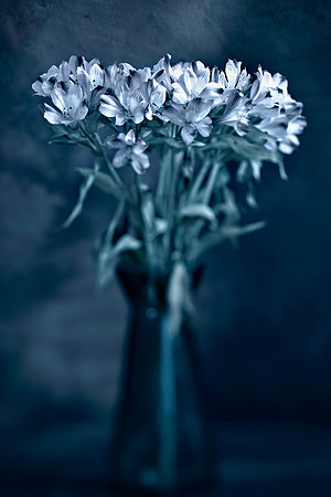 In The Blue Moonlight