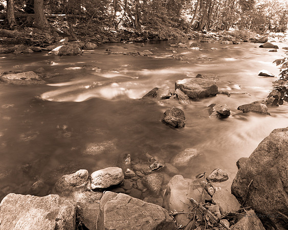 nature, landscapes, waterscapes, trees, outdoors