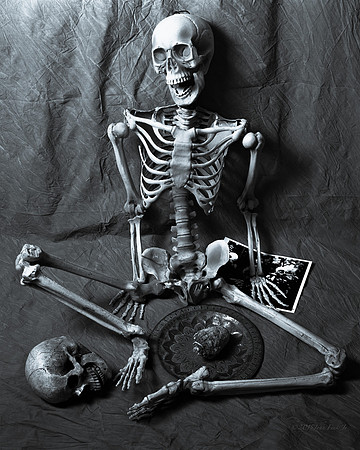 characters, staged scenes, conceptual scenes