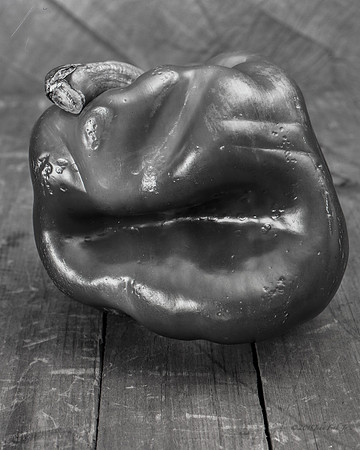 still life, organic matter, vegetables, of the earth series