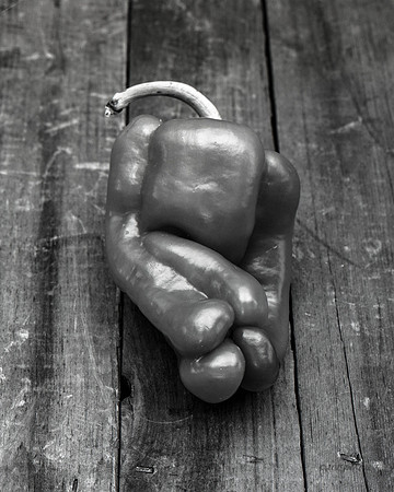 still life, organic matter, vegetables, of the earth series