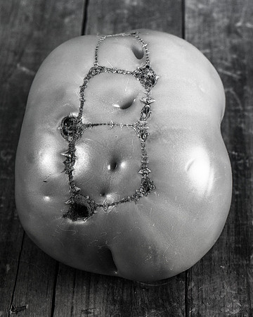still life, organic matter, vegetables, of the earth series