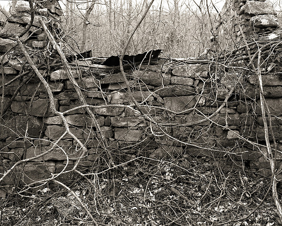 Reclamation