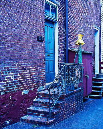 Door With Shade