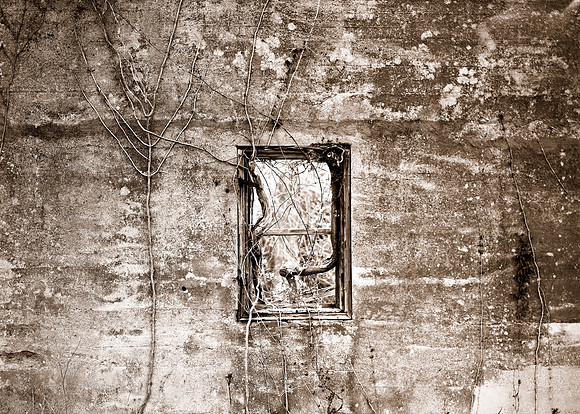 Window