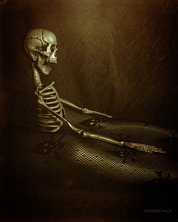 characters, staged scenes, conceptual scenes
