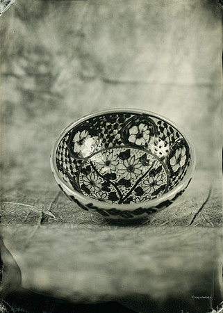 collodion, wet plate, portraits, still life, tintypes, skulls, bowls