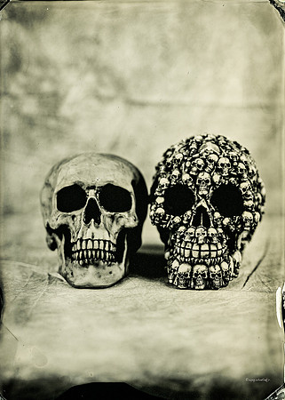 wet plate collodion, Still Life, Skulls, Skeletons, Bones, Graveyards