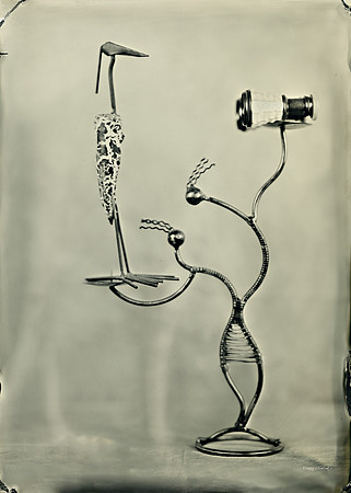wet plate collodion, still life