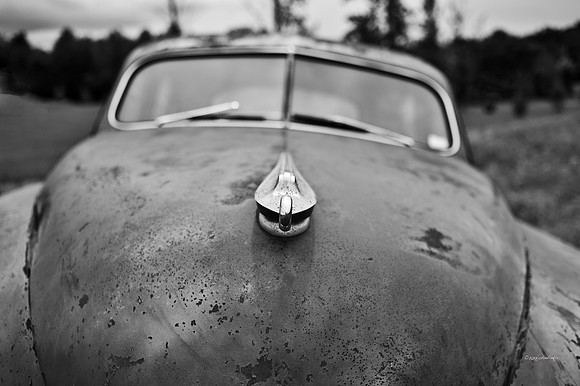The Abandoned Packard
