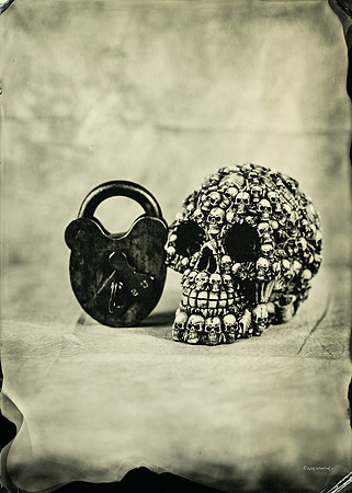 wet plate collodion, Still Life, Skulls, Skeletons, Bones, Graveyards