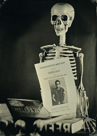 wet plate collodion, Still Life, Skulls, Skeletons, Bones, Graveyards