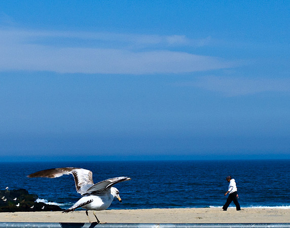 "People, Street Scenes, Pondered Artifacts"