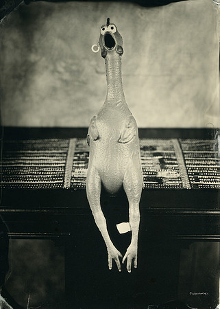 wet plate collodion, still life