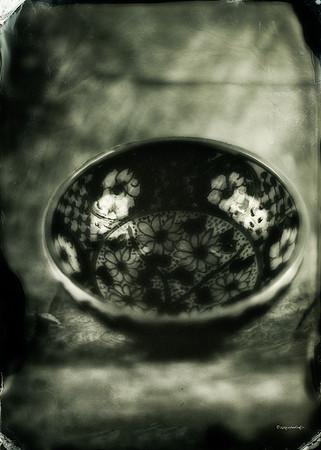 wet plate collodion, still life