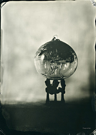 wet plate collodion, still life