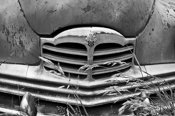 The Abandoned Packard