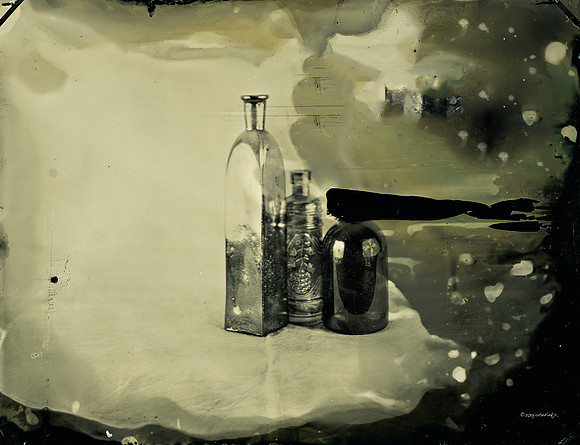 wet plate collodion, still life
