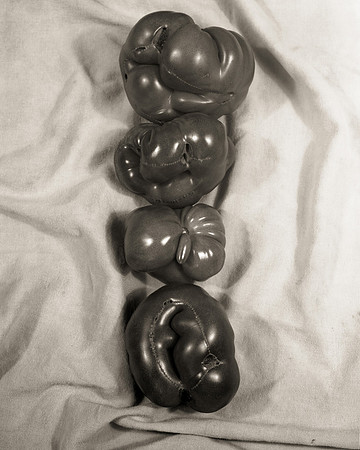 The Elephant Man (Heirloom Tomatos)