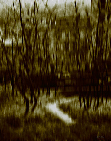 Paris Garden Impressions 2