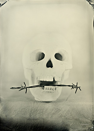 wet plate collodion, Still Life, Skulls, Skeletons, Bones, Graveyards