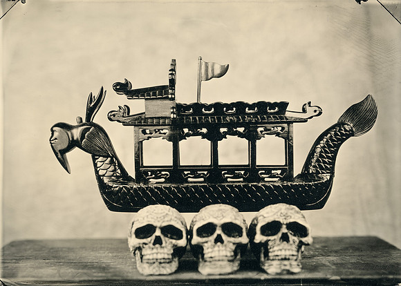 wet plate collodion, still life