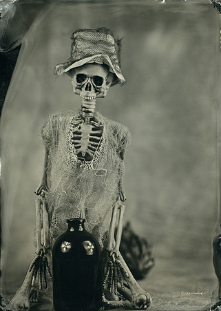 wet plate collodion, Still Life, Skulls, Skeletons, Bones, Graveyards