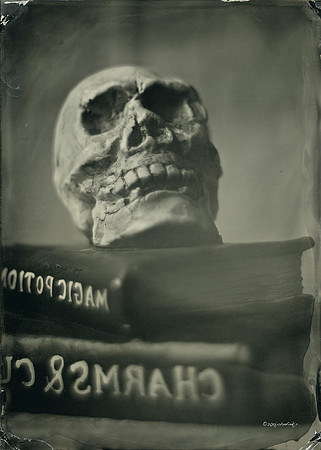 wet plate collodion, Still Life, Skulls, Skeletons, Bones, Graveyards
