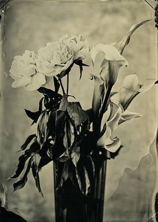 Roses & Lilies