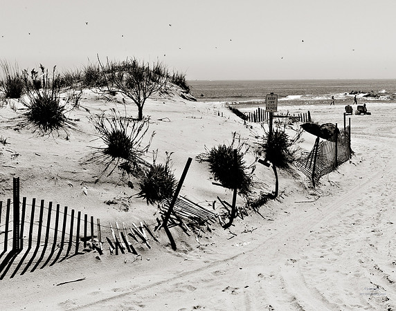 Keep Off The Dunes