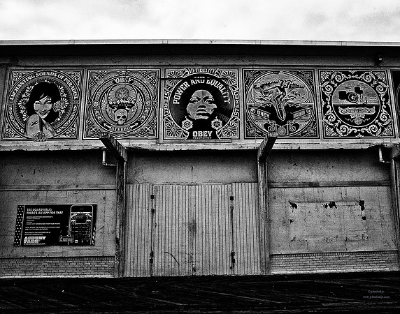 Obey